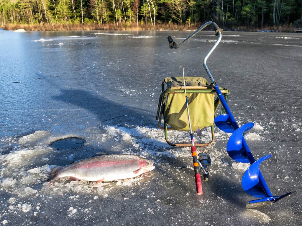 A huge Rainbow Trout caught while ice fishing and placed on a frozen lake next to an auger, fishing rod, and a stool