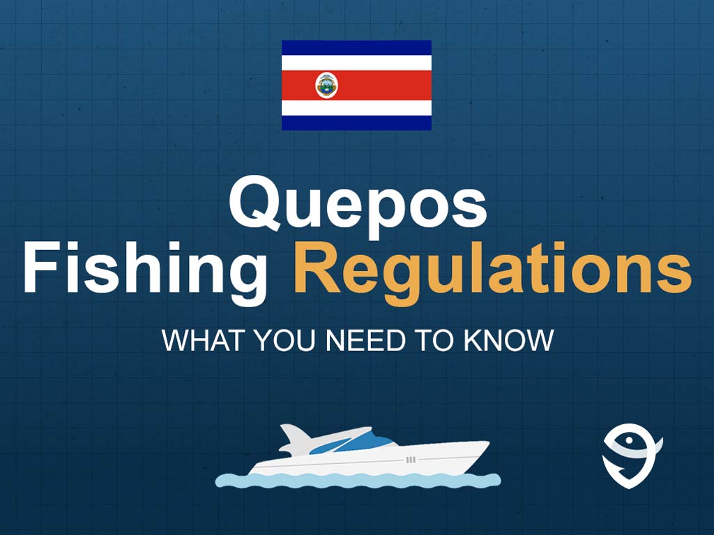 An infographic featuring the flag of Costa Rica and text saying "Quepos Fishing Regulations, What You Need to Know" above a vector of a boat against a blue background