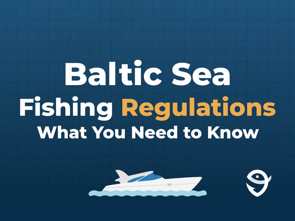 An infographic featuring text that says "Baltic Sea fishing regulations, what you need to know" against a dark blue background, with a vector of a boat and the FishingBooker logo visible, too