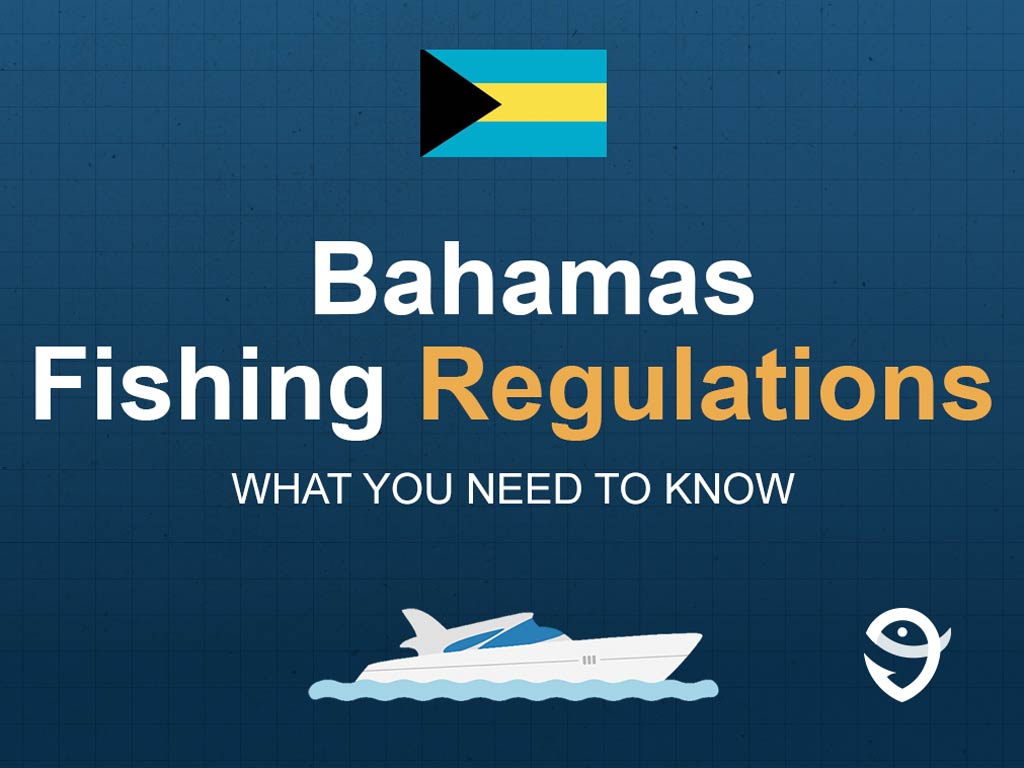 An infographic featuring the flag of the Bahamas and text saying "Bahamas Fishing Regulations, What You Need to Know" above a vector of a boat against a blue background