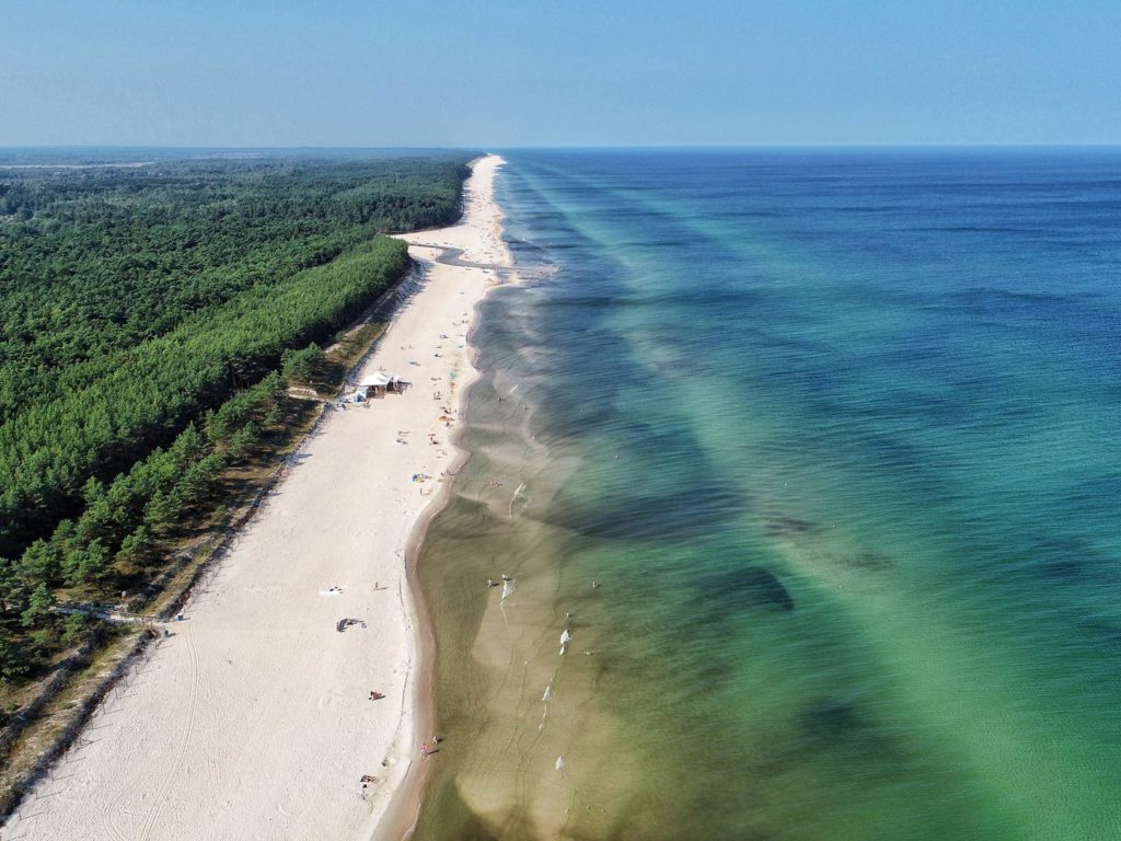 An aerial view shows a long sandy beach, perfect for angling in the Ostsee. The shoreline is bordered by green forest and the clear blue sea stretches under a cloudless sky. Here, you might cast your line for species like European Flounder, Cod, Sea Trout, or Garfish. This picturesque coastline offers anglers several miles of prime spots where you can try your luck catching these popular fish. It's an ideal setting whether you're spending one afternoon or several days fishing along this stunning stretch of coast.