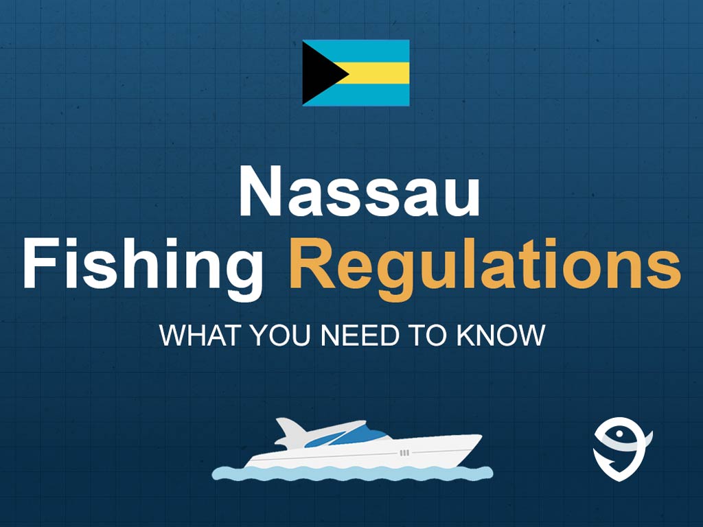 An infographic featuring the flag of the Bahamas and text saying "Nassau Fishing Regulations, What You Need to Know" above a vector of a boat against a blue background
