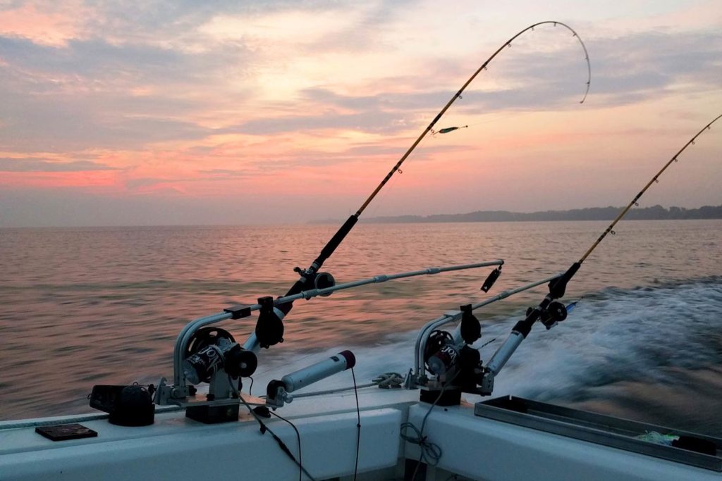 Trolling rods pictured against the sunset on a charter fishing boat, with one of them bent as though it's caught something.