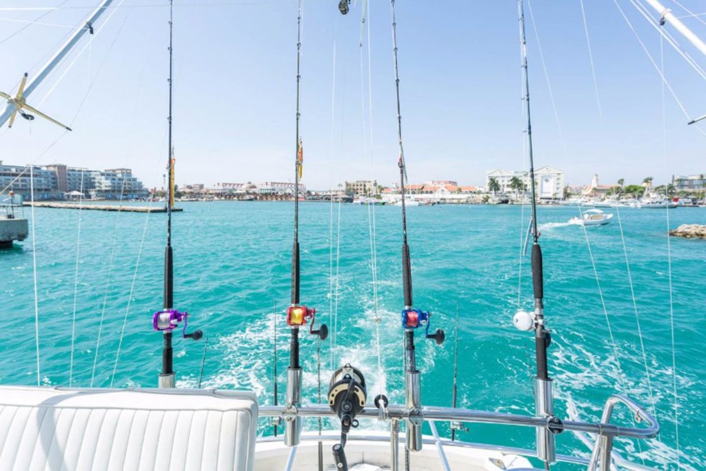 Fishing rods set up for trolling, with turquoise waters and buildings in the background.