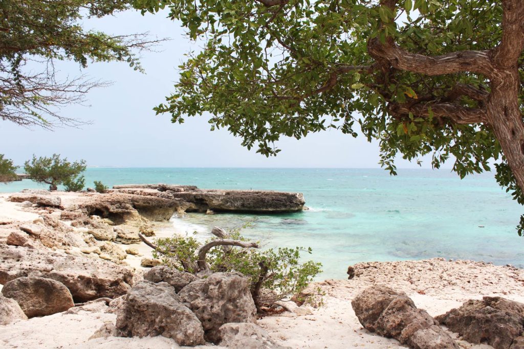 The rocky landscape and shallow blue waters at Malmok Beach.