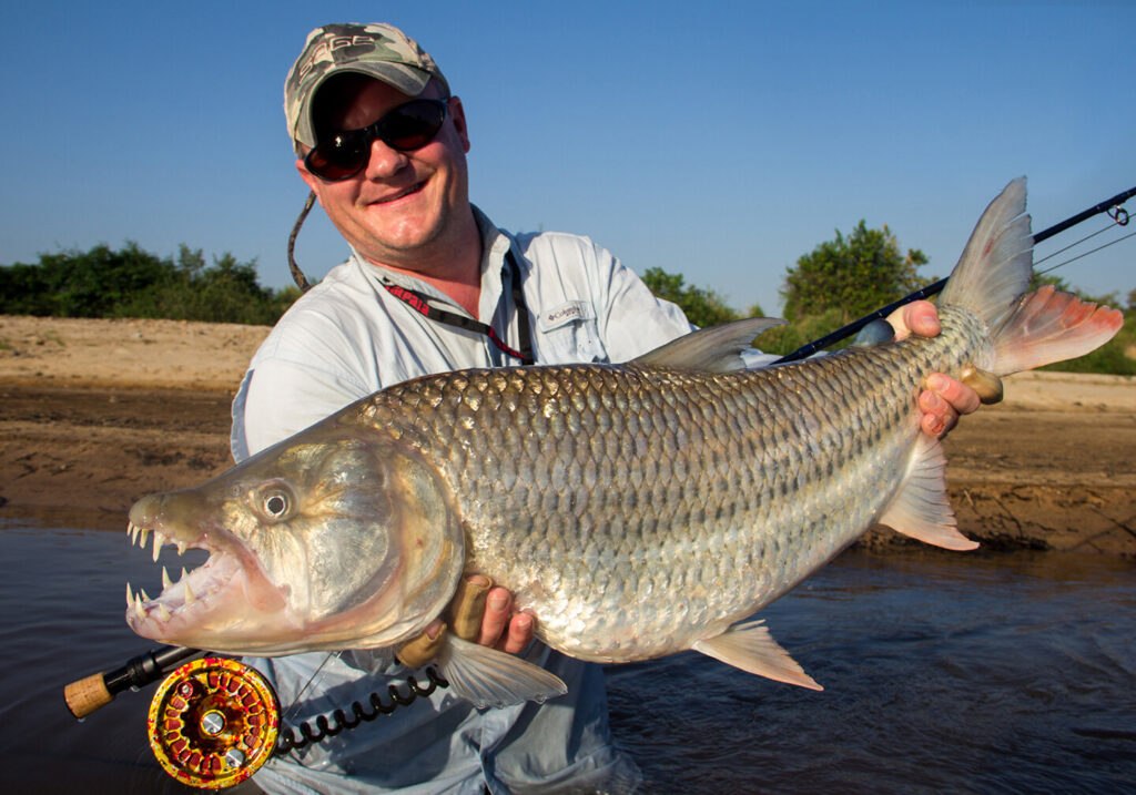 Ein Fliegenfischer, der in einem Fluss steht und einen Goliath-Tigersalmler und eine Fliegenrute h&auml;lt. Es gibt Wasser, Ufer und Himmel hinter ihm.