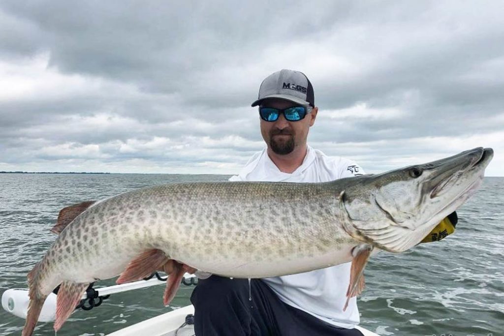 A man holds a large Musky on a charter boat on Lake Michigan