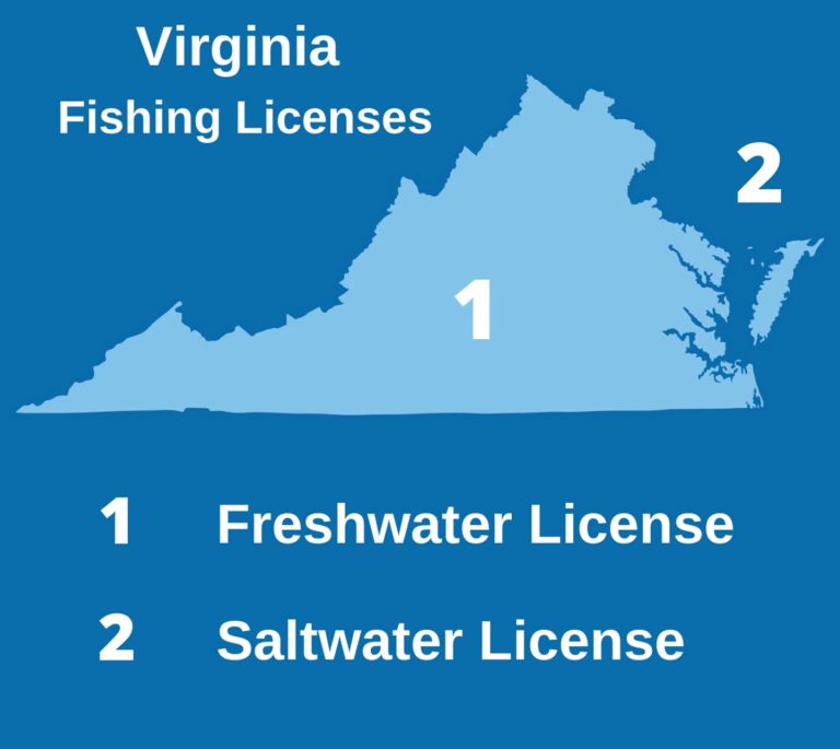 Virginia Fishing License The Complete Guide