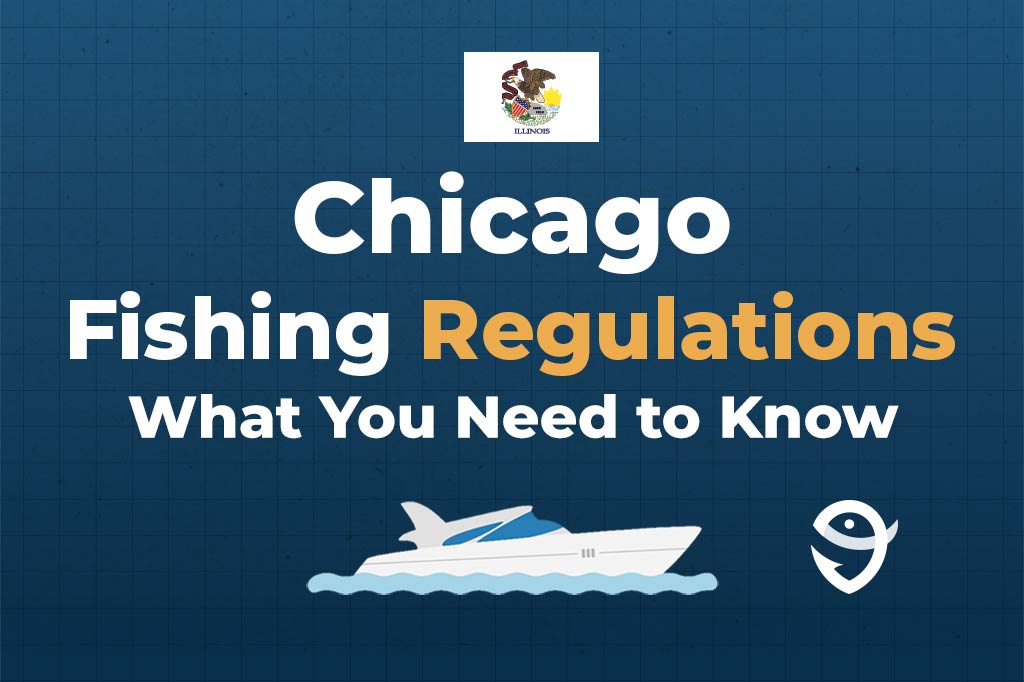 An infographic featuring the flag of Illinois and text saying "Chicago Fishing Regulations, What You Need to Know" above a vector of a boat against a blue background