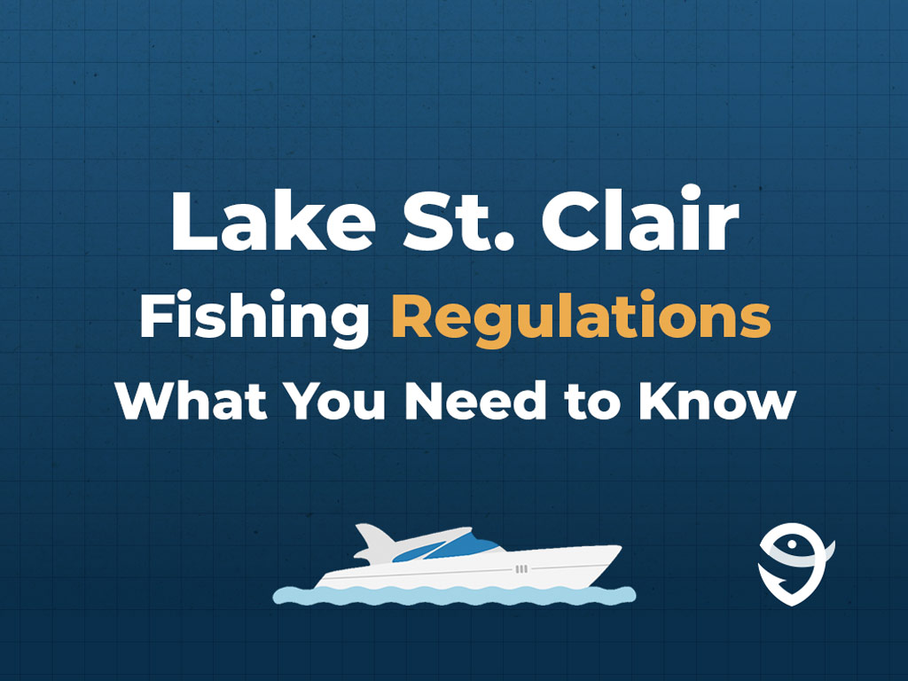 An infographic featuring text that says "Lake St. Clair Fishing Regulations What You Need to Know" against a dark blue background with a white illustoration of a boat beneath the text.