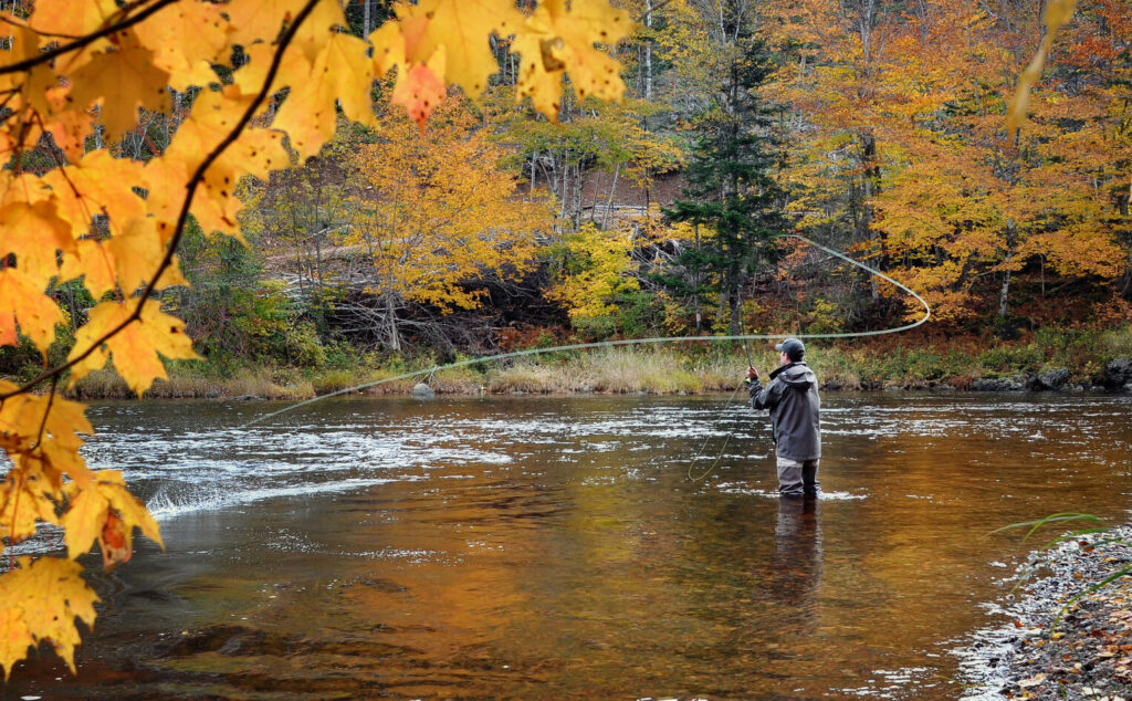 Ein Angler wirft im Herbst seine Fliegenrute an einem Fluss aus.