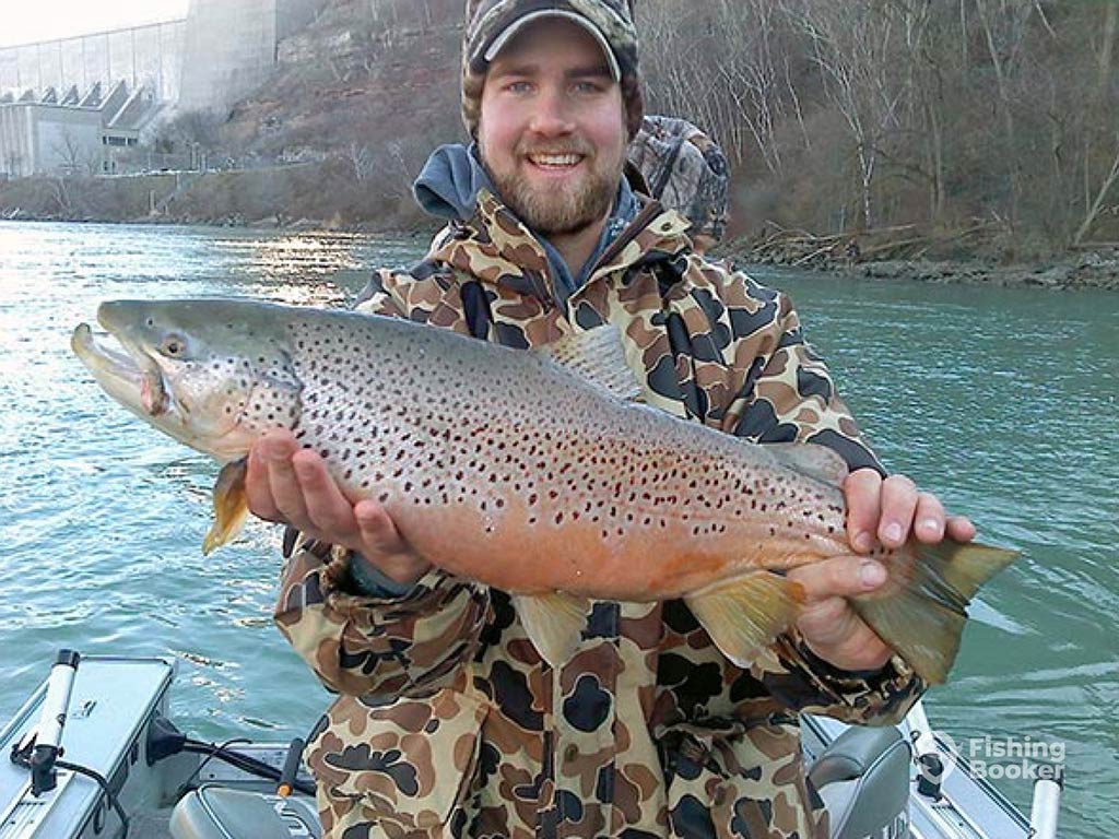 A person in a camouflage jacket, proudly holding a large Brown Trout on a boat, with the Niagara River and dam majestically framing the scene.