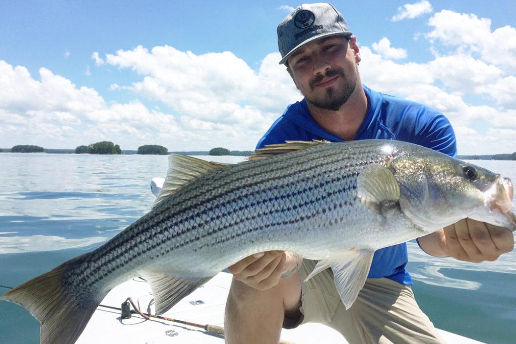 A man crouches on a boat with the water behind him holding a large Striped Bass