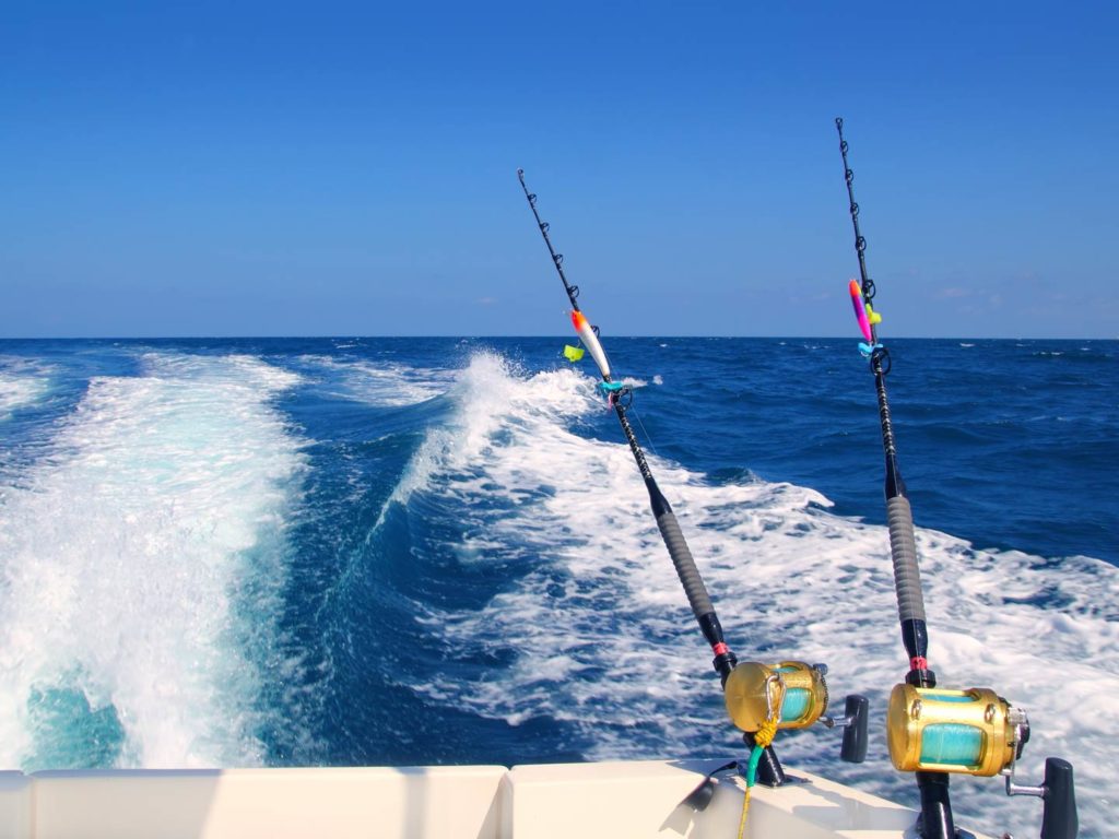 Trolling with two lines in the offshore waters.