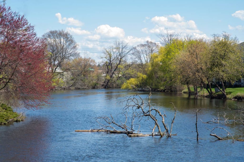 A view of the Boardman River and its surrounding greenery on a sunny day