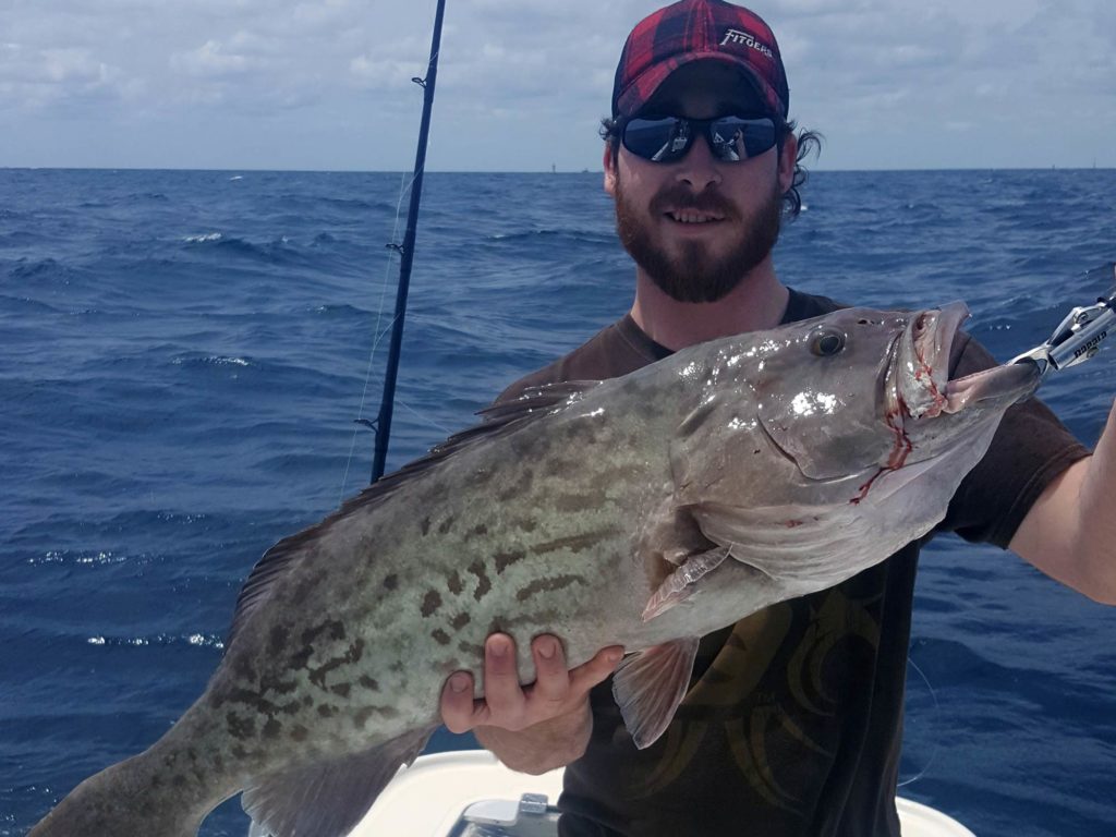 A fisherman in sunglasses and a cap holding a big Black Grouper