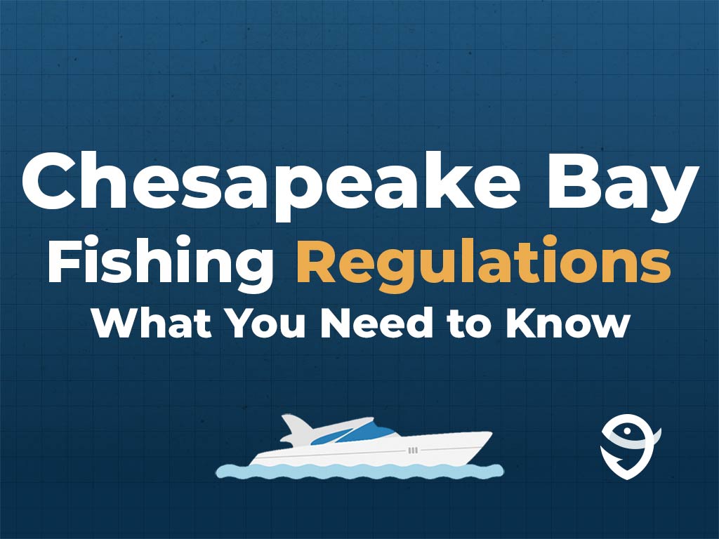 An infographic featuring text saying "Chesapeake Bay Fishing Regulations, What You Need to Know" above a vector of a boat and the FishingBooker logo against a blue background
