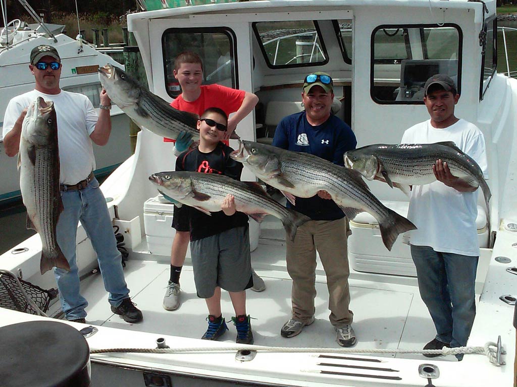 Five people are standing on a boat in Chesapeake Bay, proudly holding Rockfish as they pose for the camera. The background showcases the boat's cabin, and other vessels docked nearby, celebrating a successful day of fishing in these rich waters.