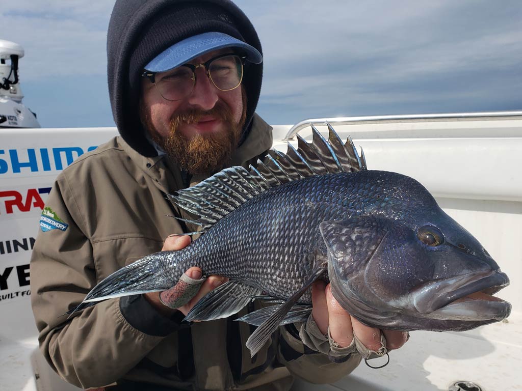 An angler in a hoodie holds a large Black Seabass. The sky's overcast, and the boat's railing, along with some equipment, is visible in the background.