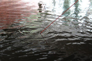 A Red String dips into rippling water, creating circular waves on the surface.