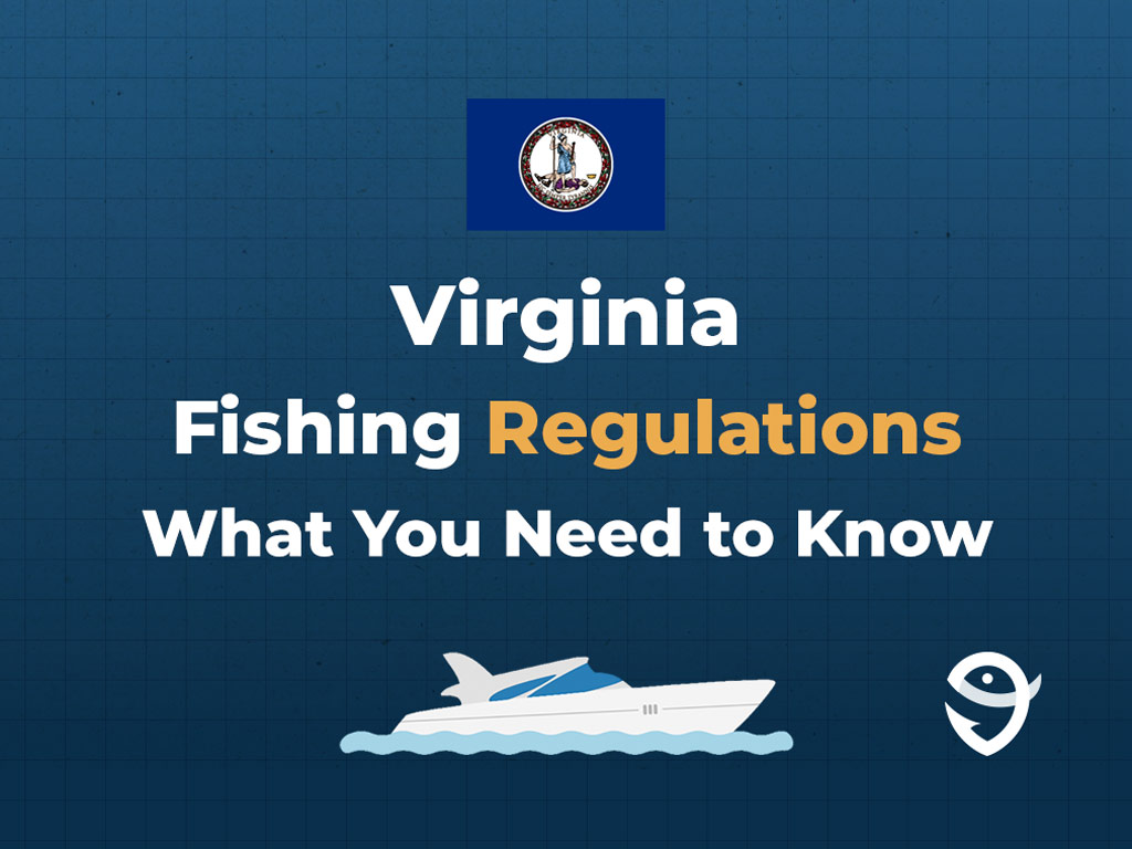 An infographic showing the flag of Virginia along with text that says "Virginia Fishing Regulations What You Need to Know" against a dark blue background.