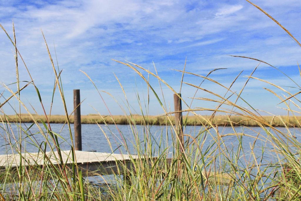 A dock overlooking a bayou in the Biloxi Marsh.