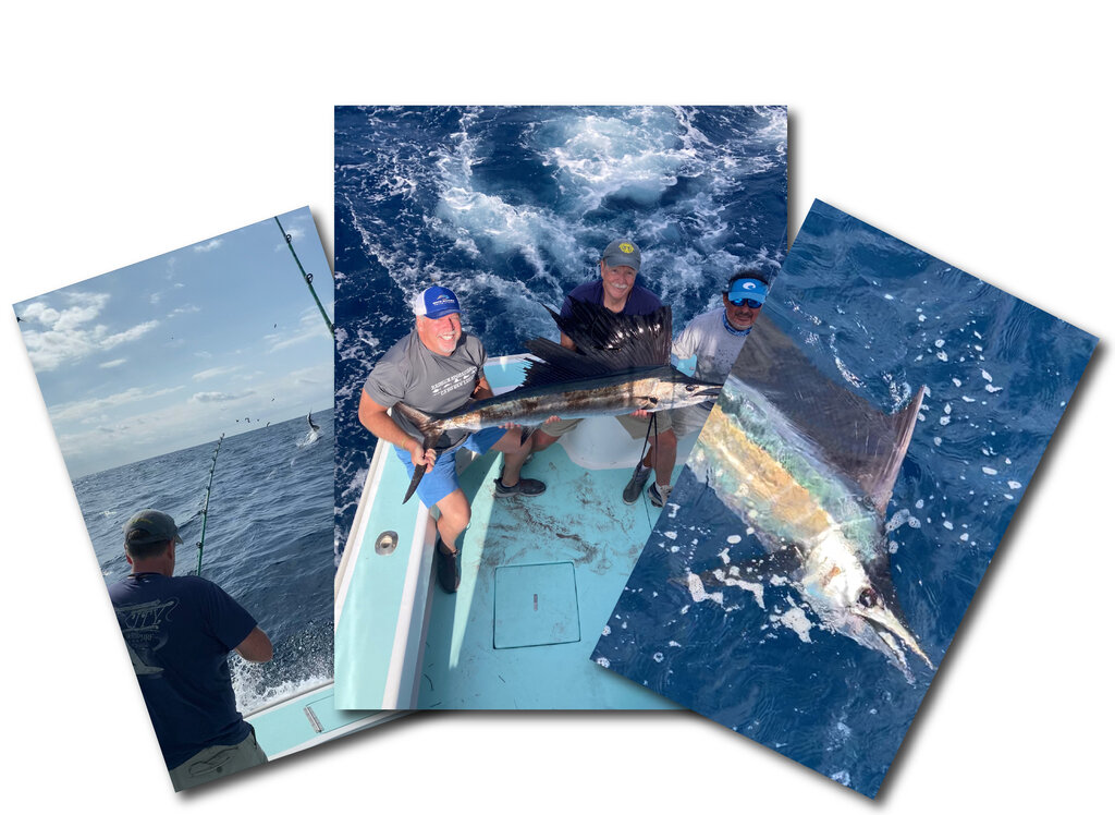 images from a Sailfish fishing trip