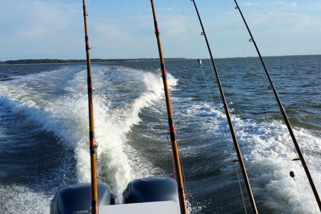 Fishing rods set up for trolling at the back of a charter boat