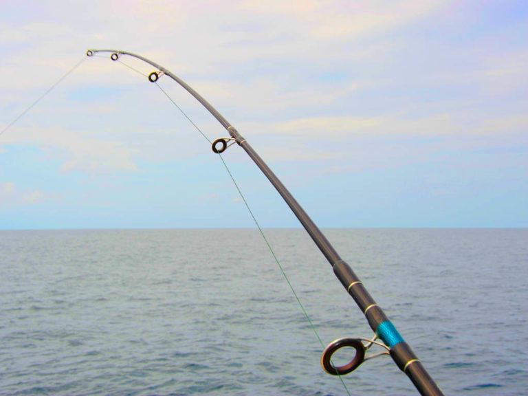 Tuna Fishing in New Jersey The Complete Guide for 2024