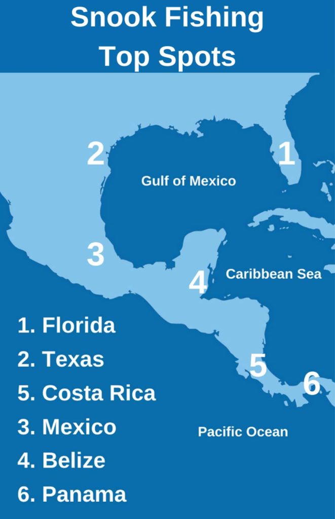 An infographic showing the top fishing spots for Snook, including Florida, Texas, Mexico, Belize, Costa Rica, and Panama