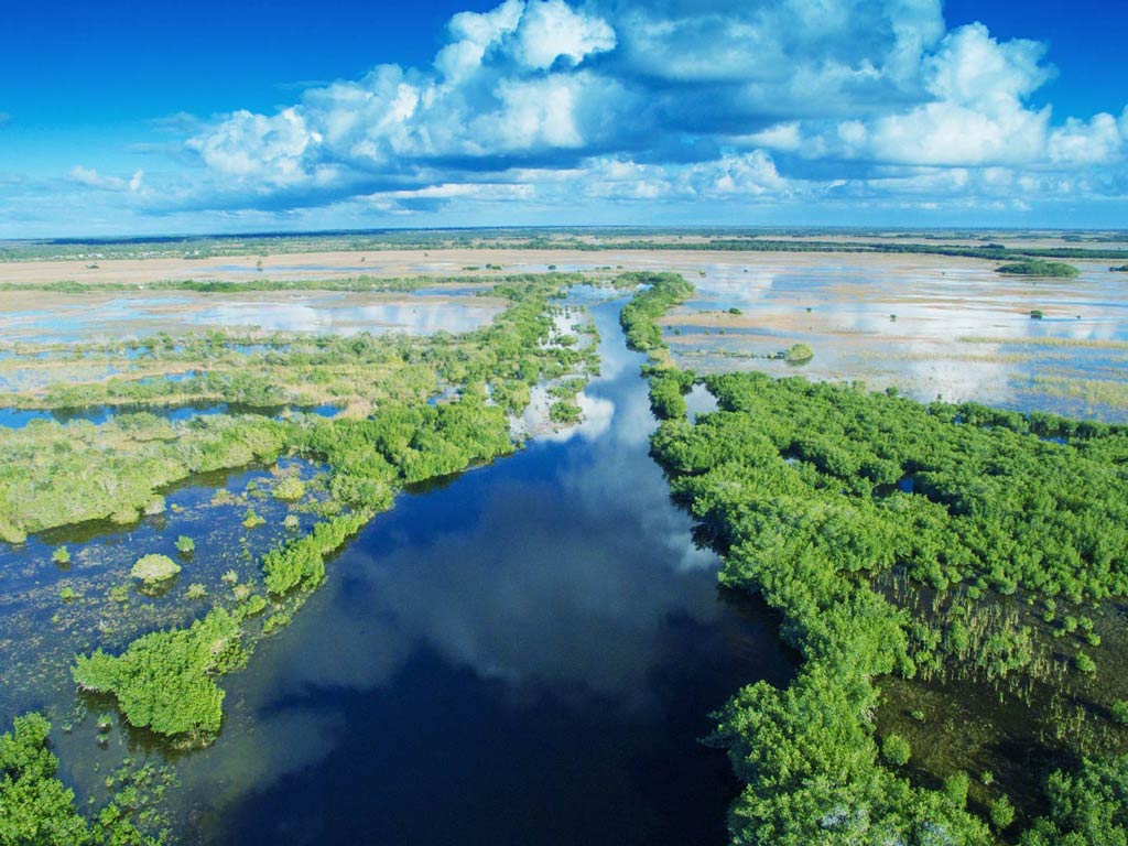 An aerial view of the Everglades swamps