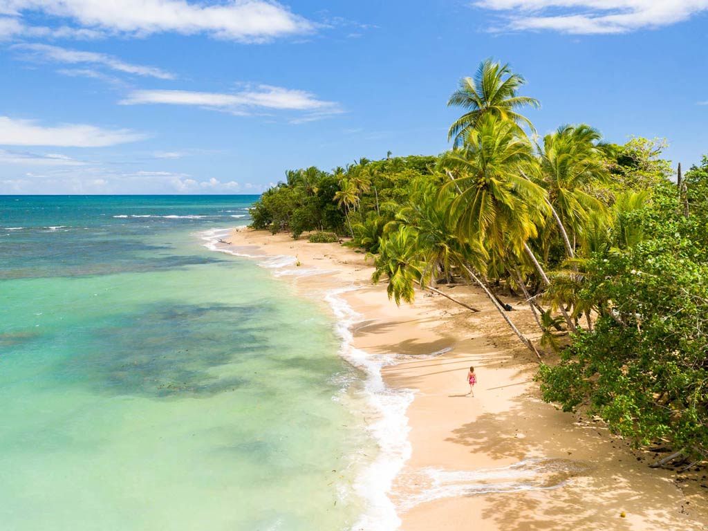 An aerial view of a beach and crystal clear water on the Caribbean coast of Costa Rica where you can fish for Snook