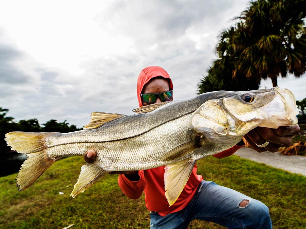 A female angler squatting on the shore and holding a large freshwater Snook