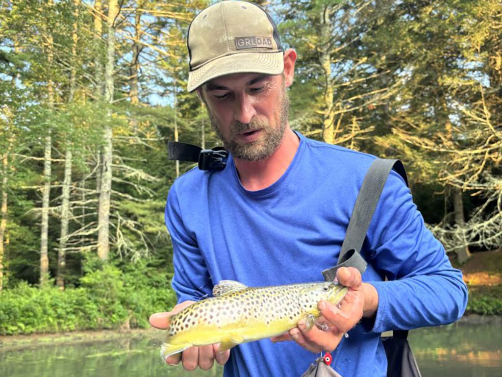 A man in a blue shirt and cap holding a brown and Brown Trout near a forested riverbank while fishing in Massachusetts.