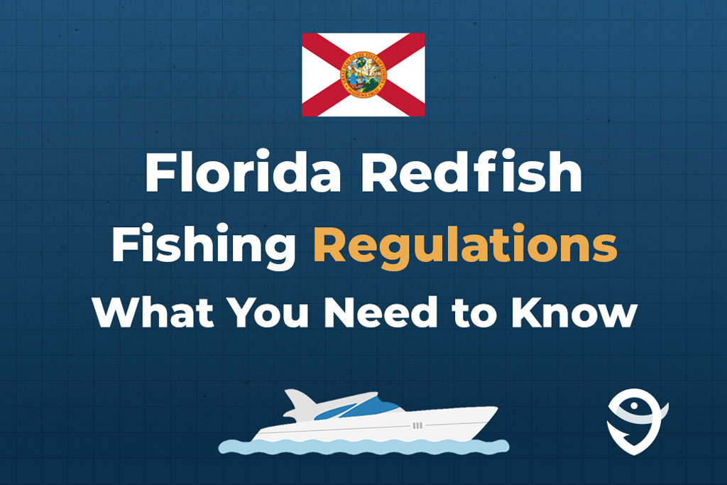 An infographic with the text "Florida Redfish Regulations" on a blue background.