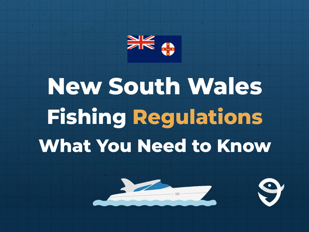 An infographic with the New South Wales flag and the text "New South Wales Fishing Regulations: All You Need to Know" set against a dark blue background