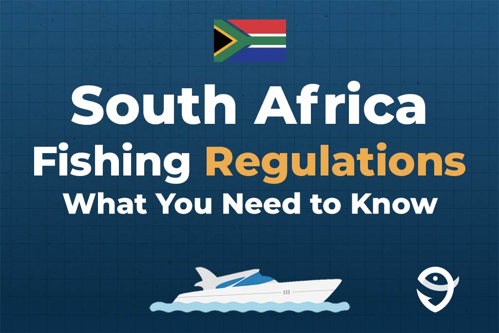 An infographic featuring the flag of South Africa along with text that says "South Africa fishing regulations, what you need to know" against a dark blue background