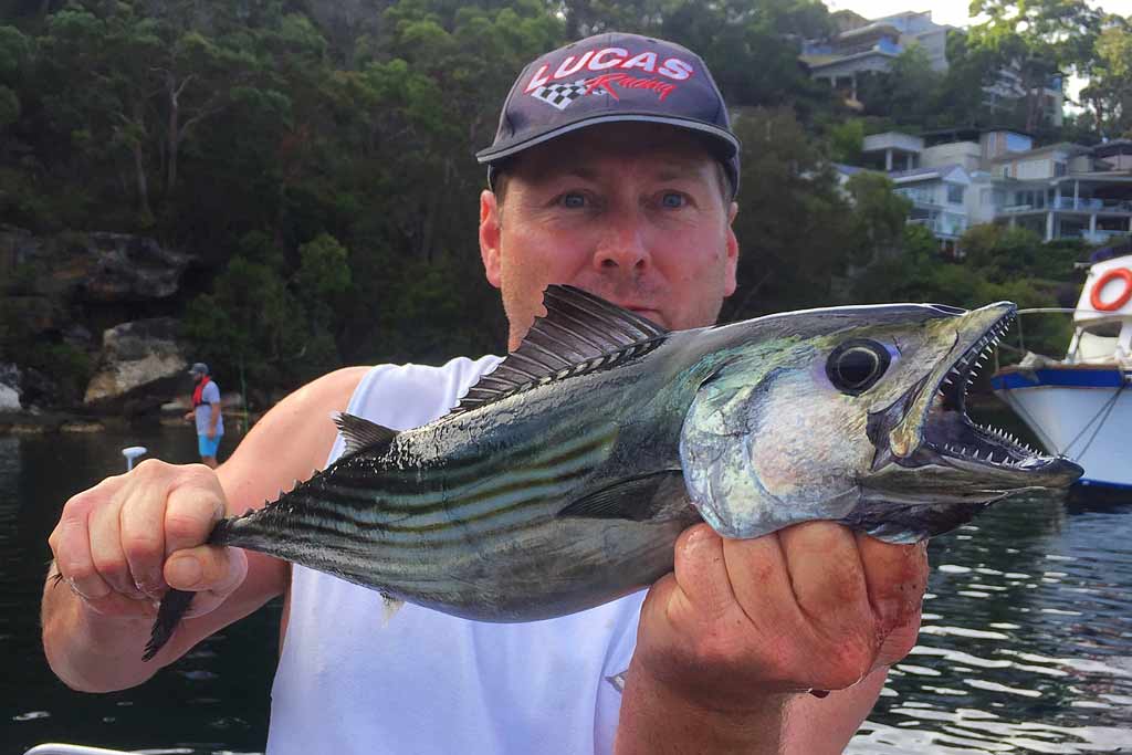 A fisherman in a cap holding a Bonito fish with water and wooded area in the background