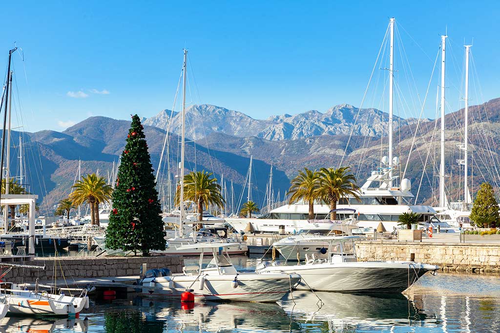 A Christmas tree overlooks a harbour full of boats with mountains in the background