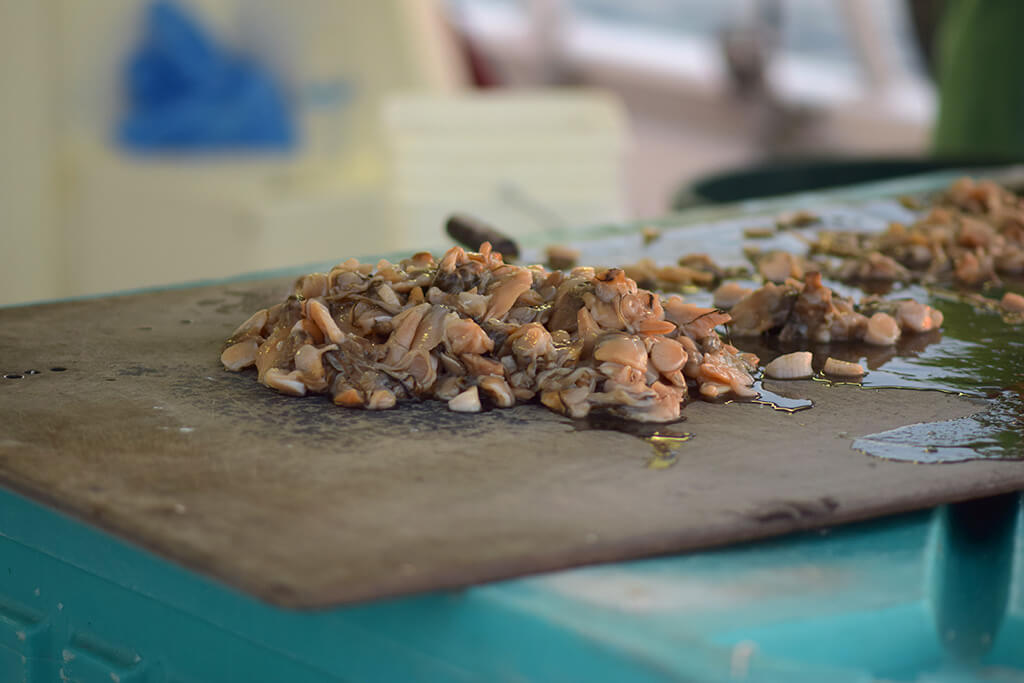 A pile of cut up clams on a board, prepared for use as chum
