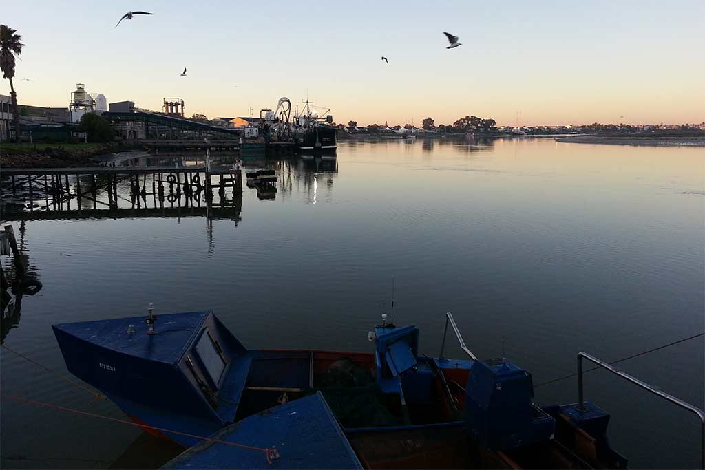 A view of the Berg River at sunset from a fishing boat