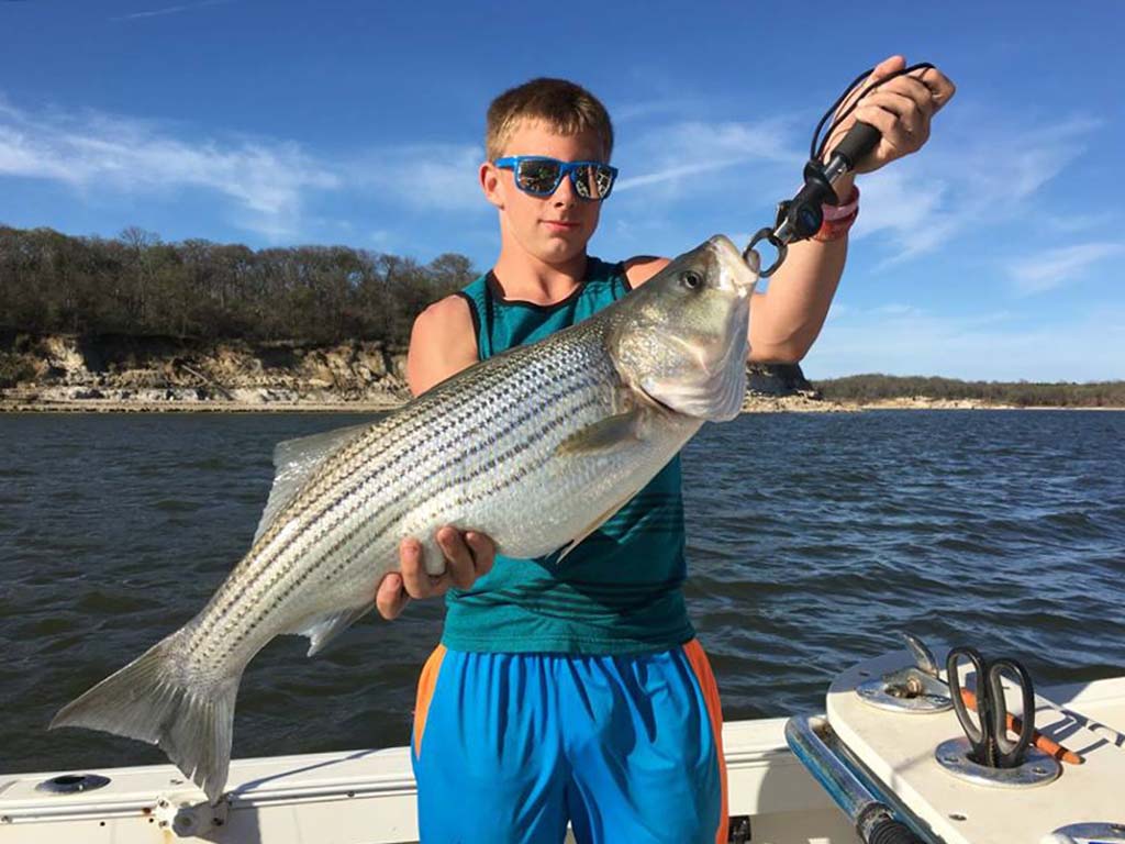 A teen holds a large Striped Bass on board a charter on Lake Texoma on a sunny day