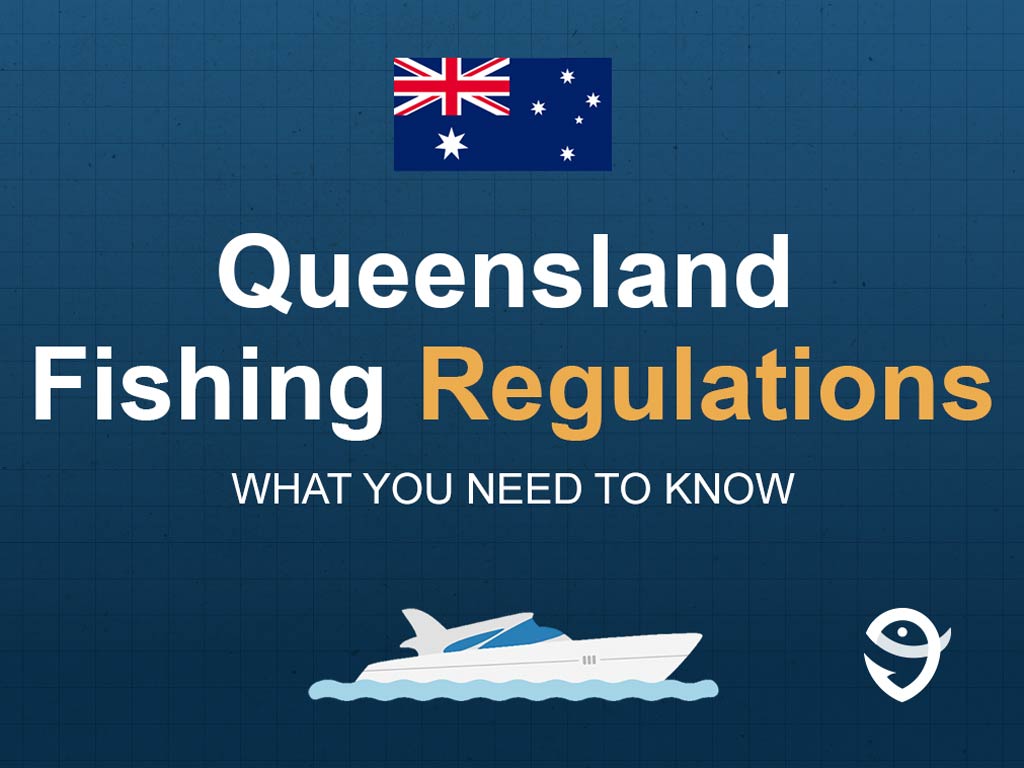 An infographic showing the state flag of Australia along with text that says "Queensland fishing regulations what you need to know" against a dark blue background.