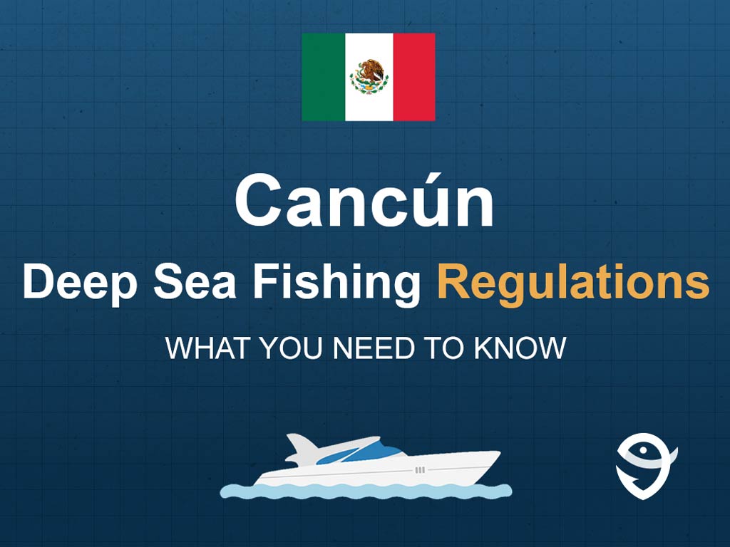 An infographic with the Mexican flag, a picture of a boat and text stating "Cancún Deep Sea Fishing Regulations: What You Need to Know" against a blue background