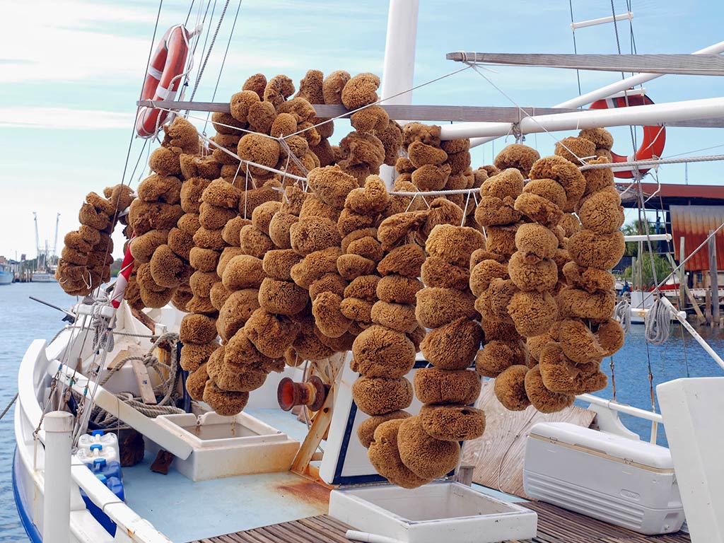 Natural sponges displayed on a Tarpon Springs sponging boat, Florida