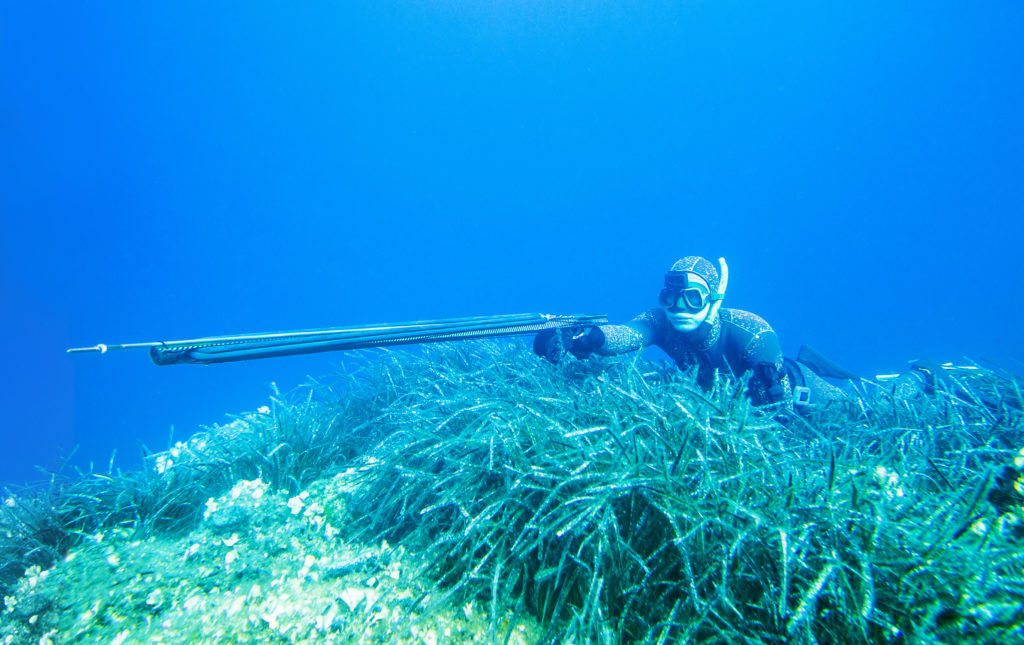 A spearfisher pointing their speargun under water, Florida