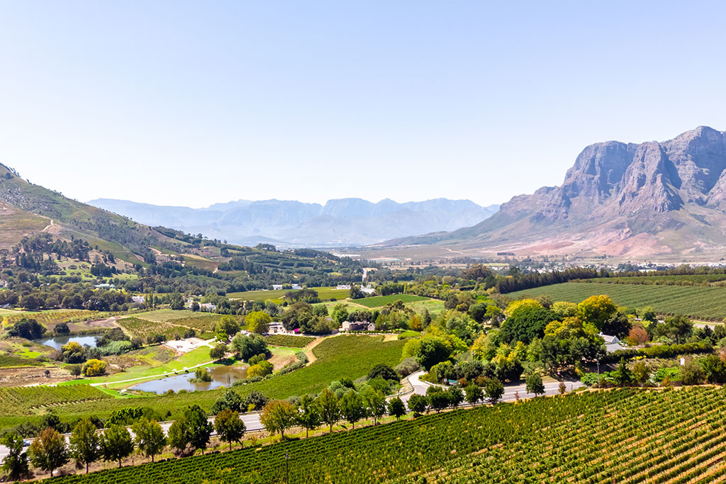 A view of Stellenbosch, surrounded by mountains with vineyards in the foreground