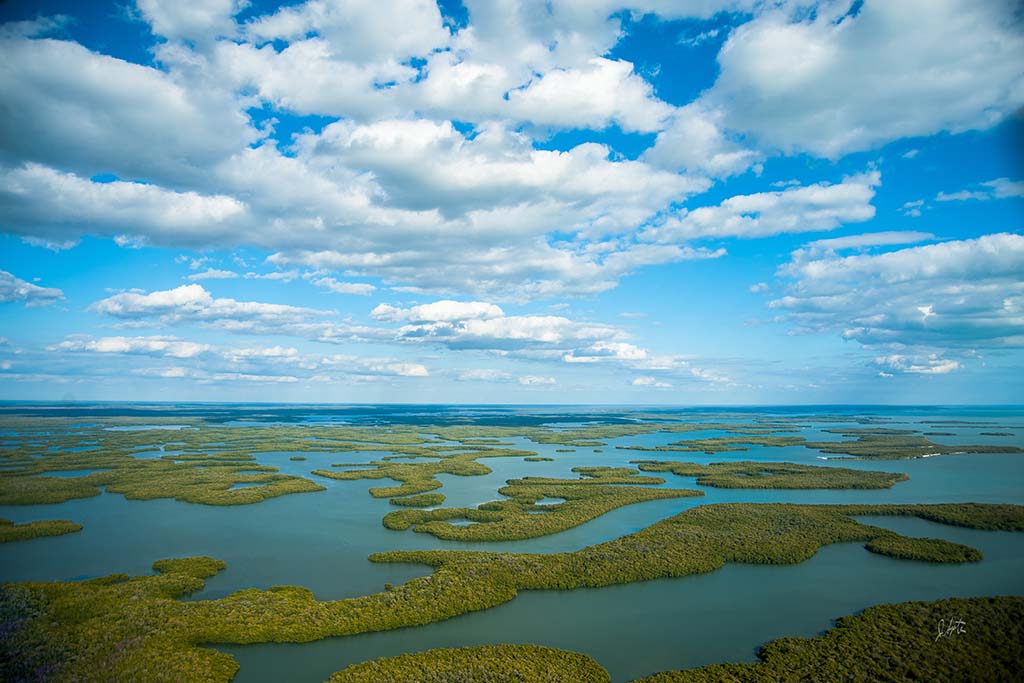 An aerial view of the Everglades showing marshy waters and blue skies