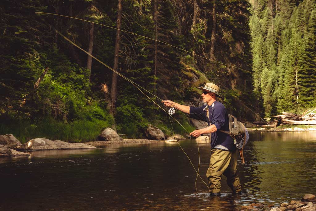 A fly fisherman casting a fly while wading in a river, surrounded by forest