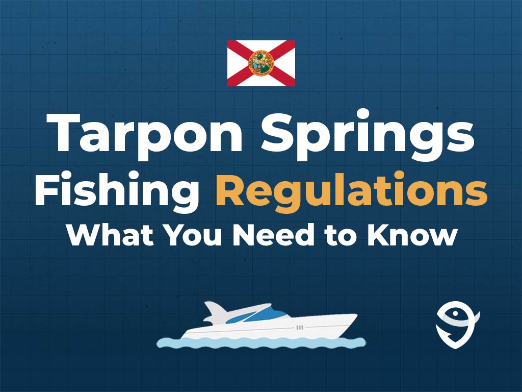 An infographic featuring the flag of Florida and text saying "Tarpon Springs Fishing Regulations, What You Need to Know" above a vector of a boat against a blue background